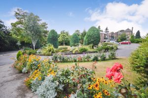 Photo 12- click for photo gallery